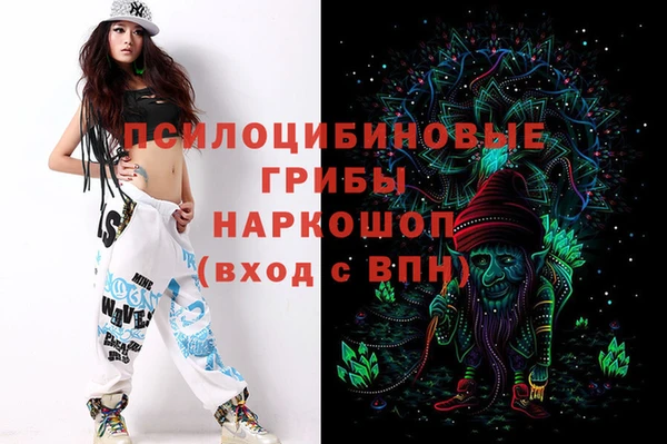 соль ск Алексеевка