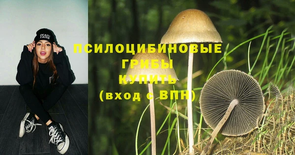 прущая мука Абинск