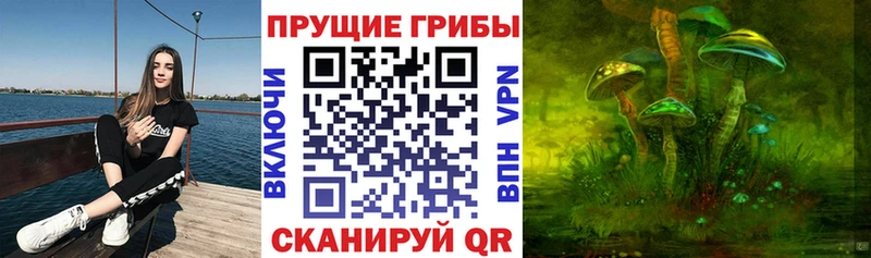 Галлюциногенные грибы прущие грибы  наркотики  Уварово 